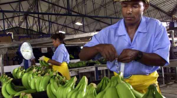 PIB anual de Colombia crece 1%