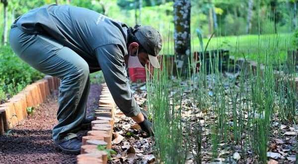 En 2020 se produjo más de 60.000 plantines de varias especies