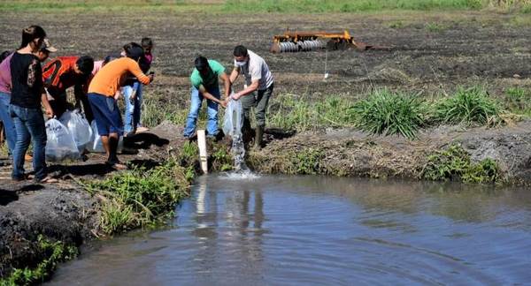 ITAIPU suministró más de 20 millones de peces nativos para consumo y siembra desde el 2000