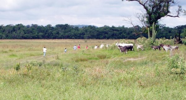 INDERT busca fortalecer comisiones vecinales para el acceso a la tierra y desarrollo