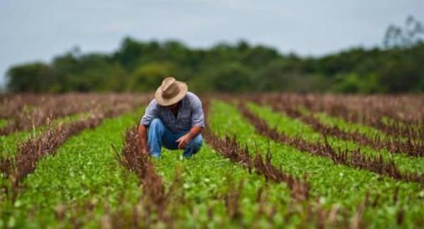 Con la mecanización de 12.000 hectáreas la agricultura familiar permite generar buenos ingresos