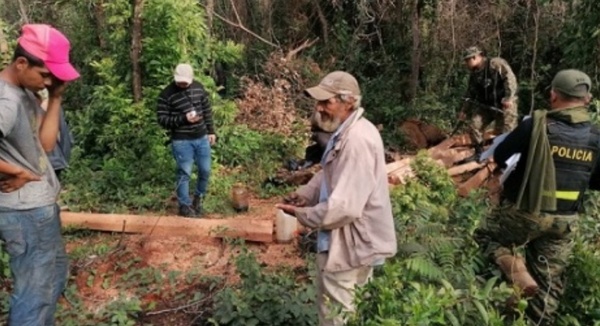 FEPAMA manifiesta que invasión a la propiedad privada con reforestación pone en riesgo las inversiones