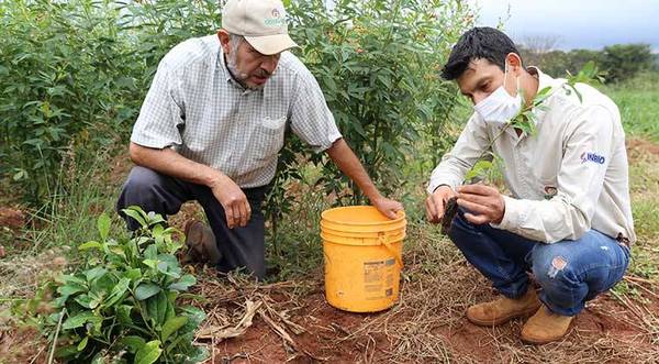 INBIO introduce innovaciones a su programa de Agricultura Sustentable con Biotecnología