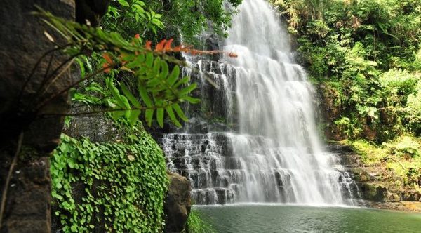 Instan a empresarios del turismo a trabajar con la comunidad para crear conciencia turística