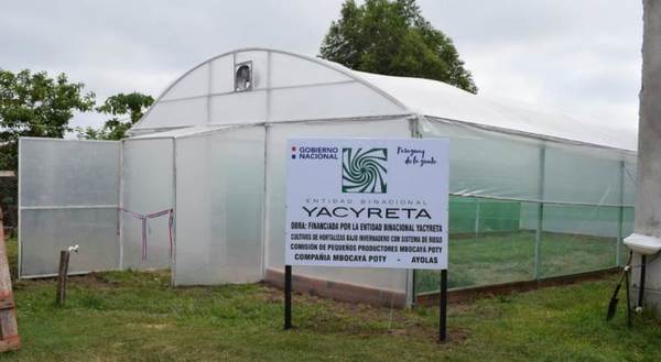Habilitan moderno invernadero para producción de hortalizas en Ayolas