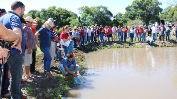 Productores de Fram reciben 14.000 alevines para incursionar en la piscicultura