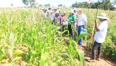 Yacyretá apoya capacitación de familias campesinas en Itapúa