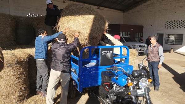 Entregan insumos a pequeños y medianos productores de Ñeembucú