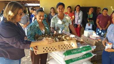 Familias rurales inician producción de aves