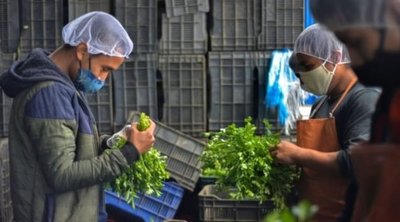 Exoneración de multas a las mipymes supera los G. 4.000 millones