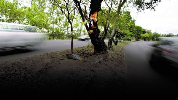 Autopista de la Muerte: Se cobró cinco vidas en el último trimestre