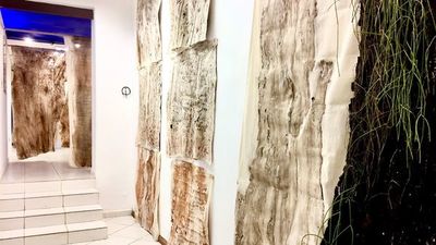 AO/Proyecto Herbolario en Fábrica Galería