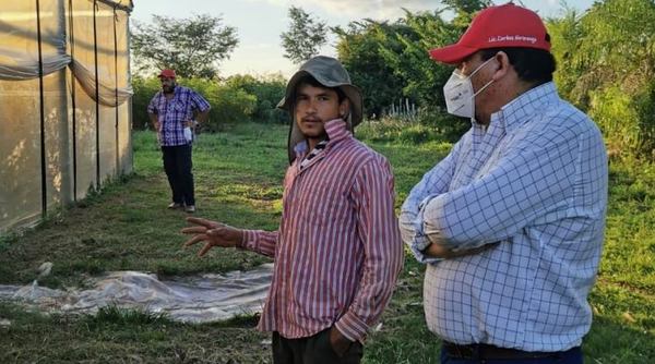 Joven emprendedor innova en horticultura en Santa Rosa Misiones
