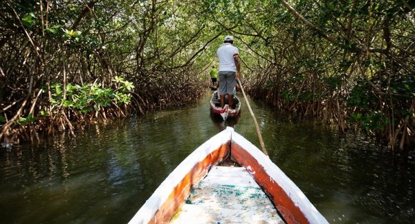 WWF pide a gobiernos evitar el riesgo de otra década perdida para la naturaleza