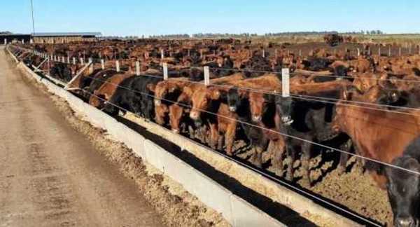 Triplican la producción y aumentan ingresos adoptando buenas prácticas ganaderas