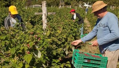 CONADERNA acompaña planes de sustentabilidad emprendidas por cooperativas