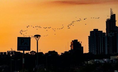 Ambiente frío y aumento paulatino de la temperatura