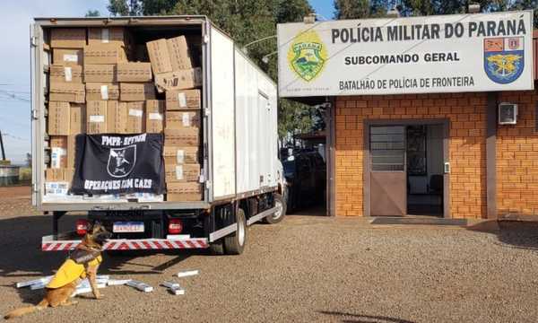 Decomisan 400 cajas de CIGARRILLOS en Brasil
