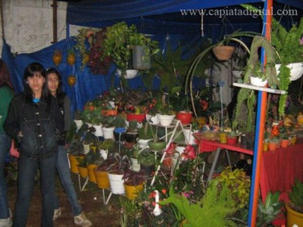 Expo Capiatá va hasta el domingo