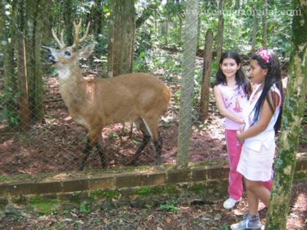 Brillante tour por Alto Paraná