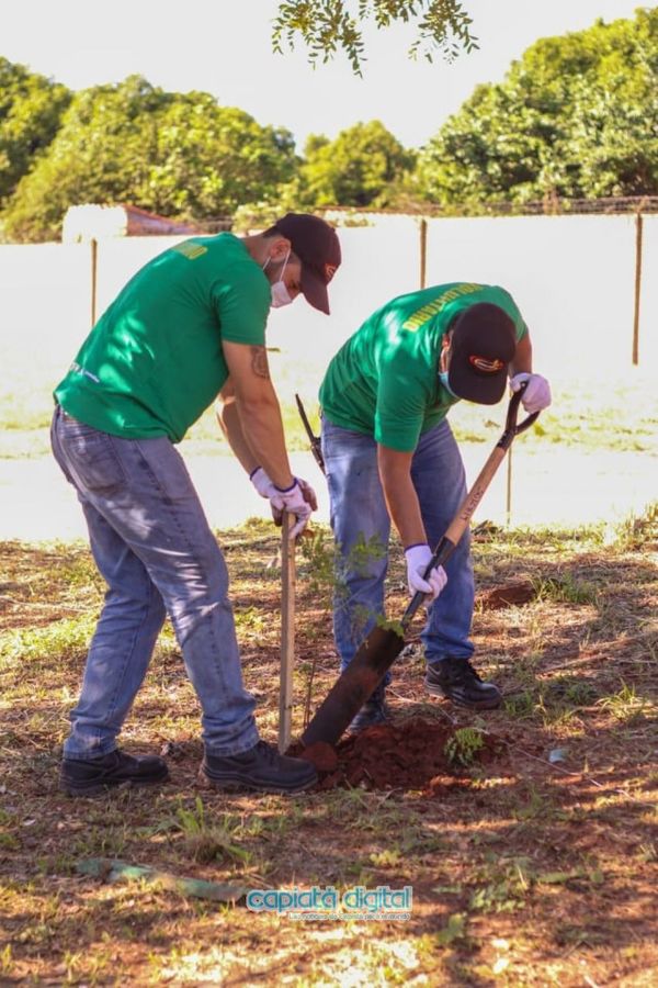 ContiParaguay apuesta al medio ambiente con compaña de arborización