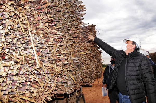Petropar busca duplicar la capacidad de molienda de caña de azúcar | .::Agencia IP::.