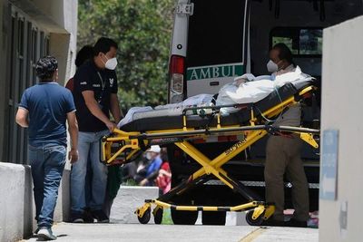 Un millón de niños perdieron por el covid a un padre o abuelo que les cuidaba - Ciencia - ABC Color