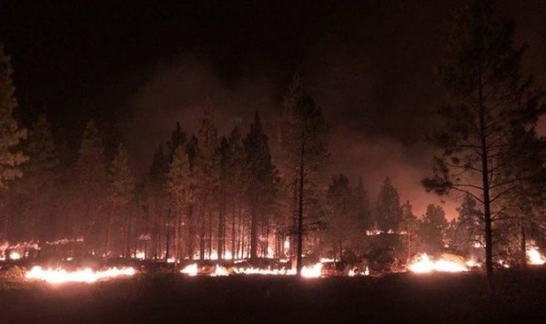 El mayor incendio de los que sacuden a Estados Unidos es tan grande que ya genera su propio clima | .::Agencia IP::.