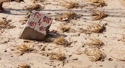 Se estima que 2.250 millones de toneladas de alimentos no se consumen en todo el mundo cada año