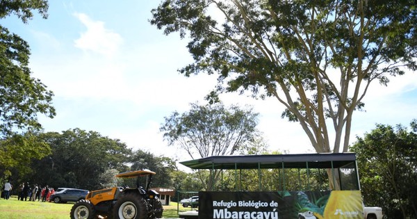 La Nación / El público ya puede visitar el Refugio Biológico Mbaracayú