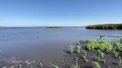 Debatirán sobre la degradación ambiental y territorial del lago Ypacaraí