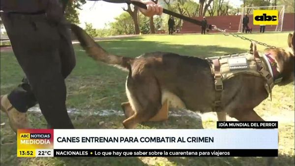 Canes entrenan para combatir el crimen - ABC Noticias - ABC Color