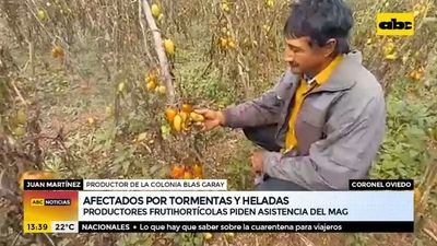 Afectados por tormentas y heladas