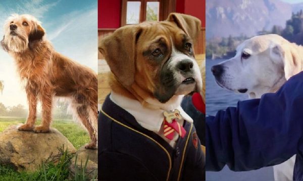 Películas y series de Netflix en donde los perros son protagonistas