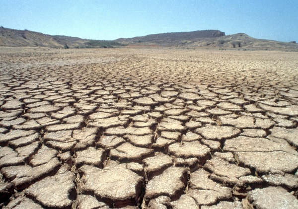 Sequía, problema de provisión de agua, incendios, navegabilidad baja: alto costo de nueva crisis - ADN Digital