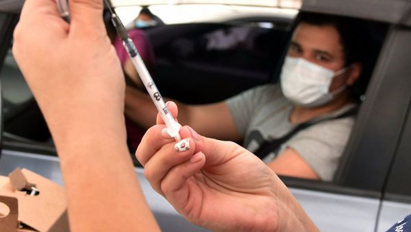 Sepa qué prueban estudios sobre anticuerpos, tras dosis contra coronavirus