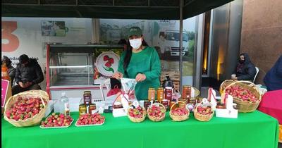 Realizan feria de frutillas y hortalizas en simultáneo en Asunción y San Lorenzo