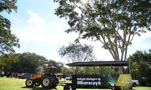 Refugio Biológico Mbaracayú de Itaipú abre sus puertas al público desde ayer – Diario TNPRESS