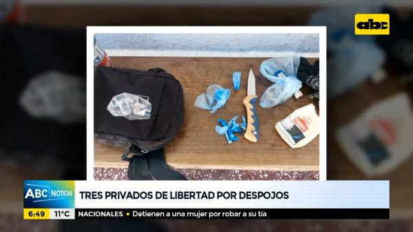 Tres detenidos por múltiples despojos a vecinos - ABC Noticias - ABC Color