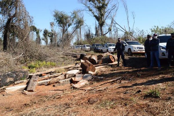 Constatan delito ambiental en reserva para parque en Itapúa - Nacionales - ABC Color