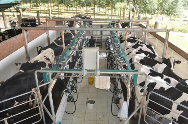 Industriales lácteos anuncian suba en el precio de la leche – Diario TNPRESS