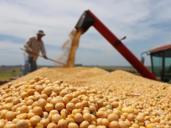 Complejo soja genera US$ 2.259 millones en primer semestre un crecimiento del 36%