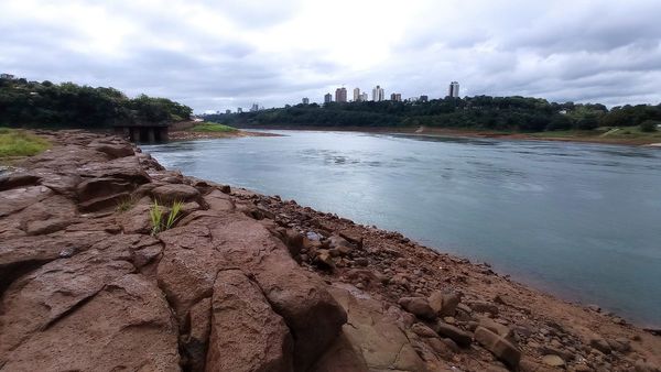 Afirman que deforestación es causante de niveles más bajos del río Paraná