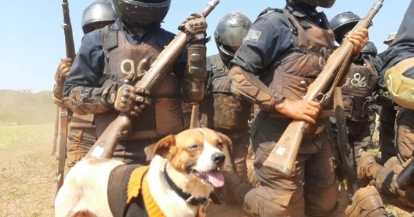 La Nación / Grupo Lince homenajeó a Chabelo en su día: el canino que conquistó sus corazones