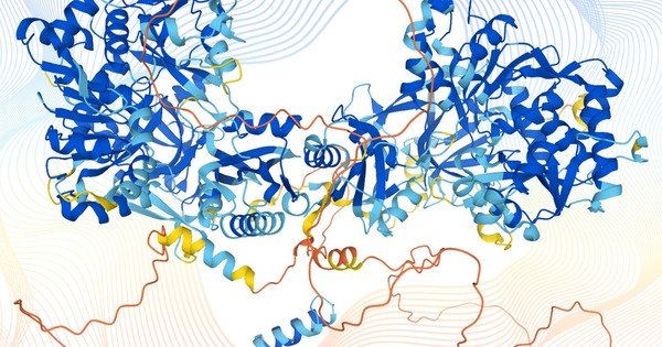 La Nación / Disponible la mayor base de datos de proteínas humanas