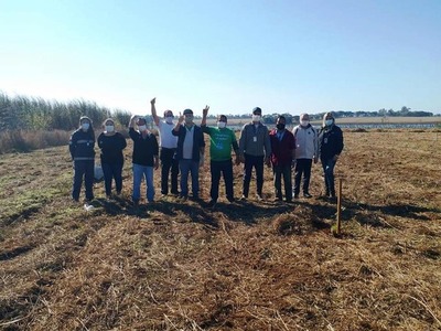 Inician plantación de especies forestales nativas en Yguazú