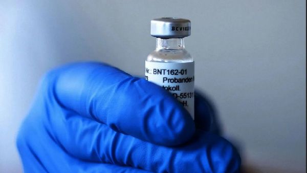 Llegan otras 33.900 dosis de la vacuna Pfizer al país