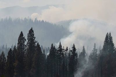 Mejora de condiciones permite avances contra el mayor incendio de Norteamérica - Mundo - ABC Color