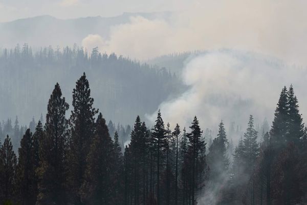 Mejora de condiciones permite avances contra el mayor incendio de Norteamérica - Mundo - ABC Color