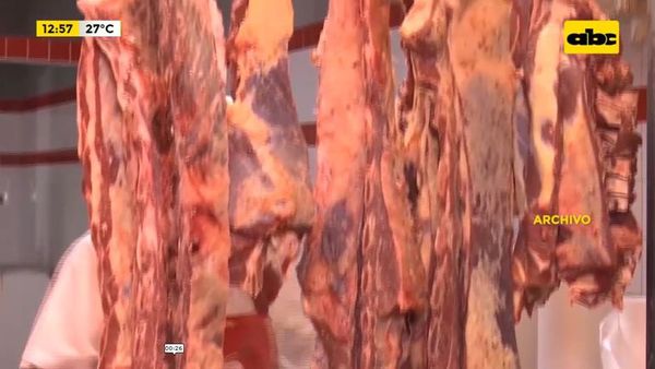 El titular del MAG defiende producción de carne - ABC Noticias - ABC Color